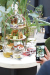 In The Wild Afternoon Tea - Wednesday 25th April